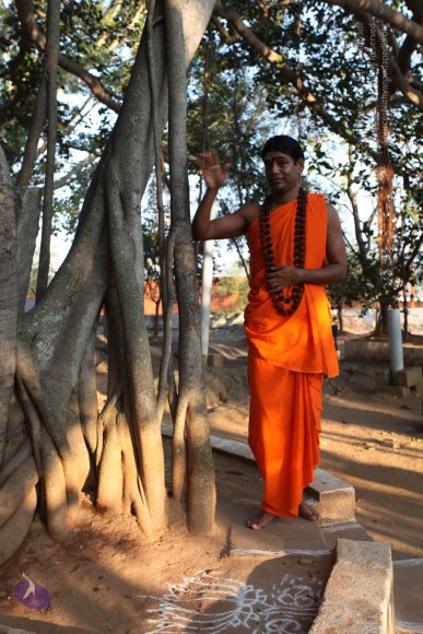 20110203_Photo_1044_IMG_3987_CMP_WM