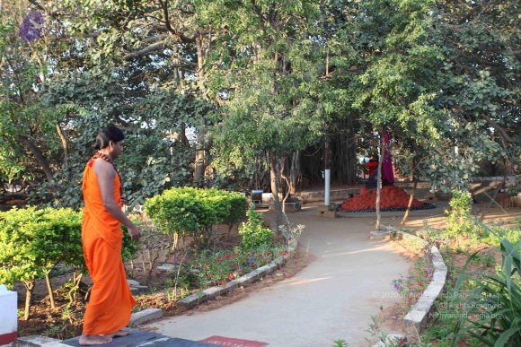 20110203_Photo_1045_IMG_3978_CMP_WM