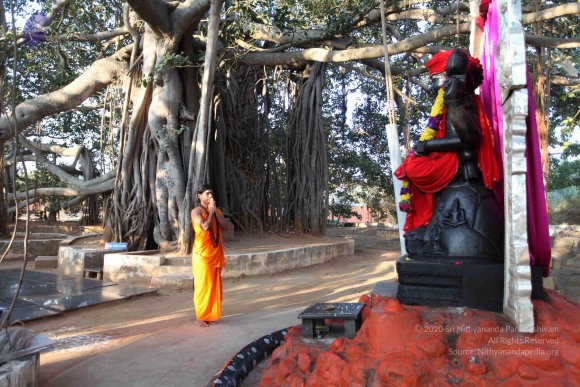 20110203_Photo_1047_IMG_3982_CMP_WM