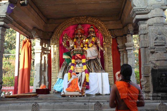 20110203_Photo_1050_IMG_3970_CMP_WM