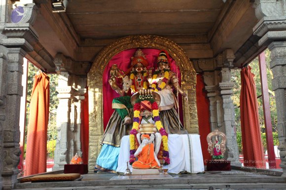 20110203_Photo_1051_IMG_4007_CMP_WM