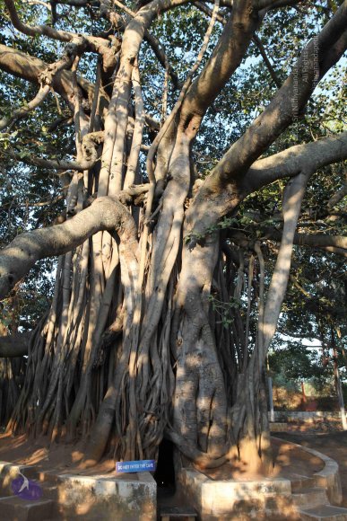 20110203_Photo_1052_IMG_3993_CMP_WM