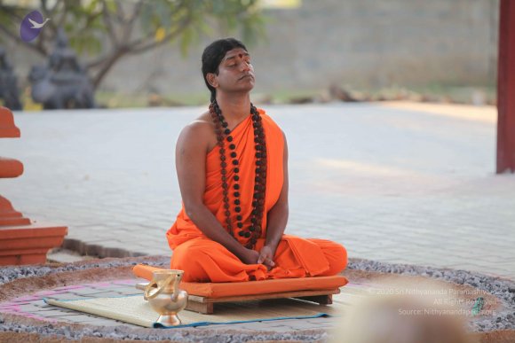 20110203_Photo_1029_IMG_4104_CMP_WM