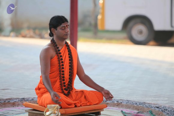 20110203_Photo_1035_IMG_4128_CMP_WM