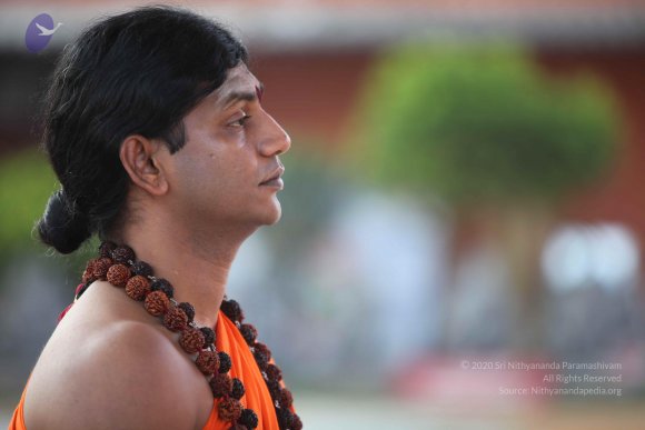 20110203_Photo_1040_IMG_4017_CMP_WM