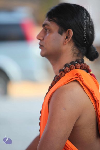 20110203_Photo_1041_IMG_4042_CMP_WM