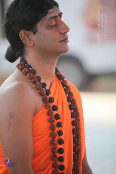 20110203_Photo_1048_IMG_4078_CMP_WM