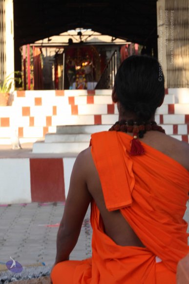 20110203_Photo_1056_IMG_4034_CMP_WM