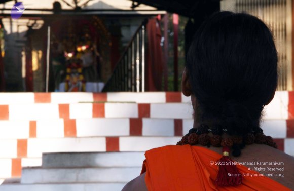 20110203_Photo_1058_IMG_4028_CMP_WM