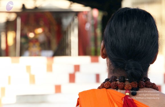 20110203_Photo_1062_IMG_4025_CMP_WM