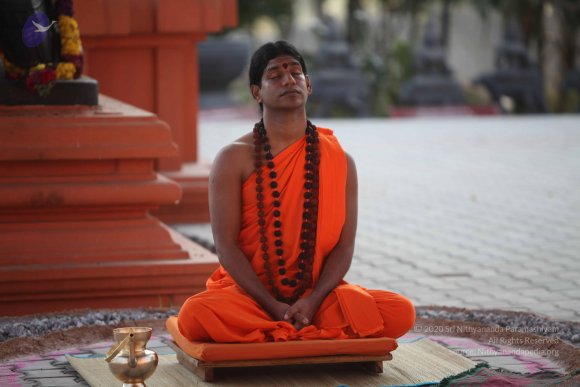 20110203_Photo_1063_IMG_4106_CMP_WM