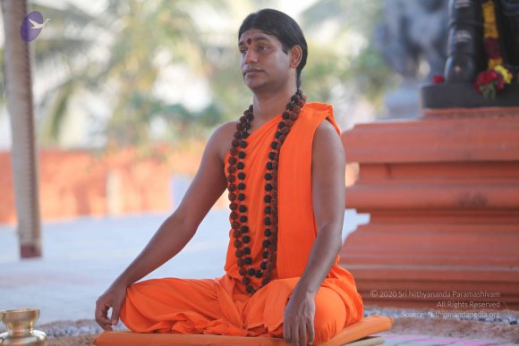 20110203_Photo_1065_IMG_4070_CMP_WM