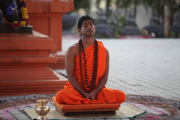 20110203_Photo_1068_IMG_4108_CMP_WM