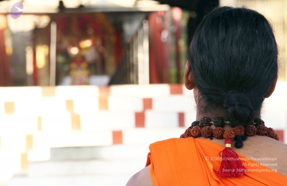 20110203_Photo_1075_IMG_4026_CMP_WM