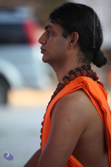 20110203_Photo_1079_IMG_4044_CMP_WM