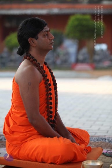 20110203_Photo_1087_IMG_4023_CMP_WM