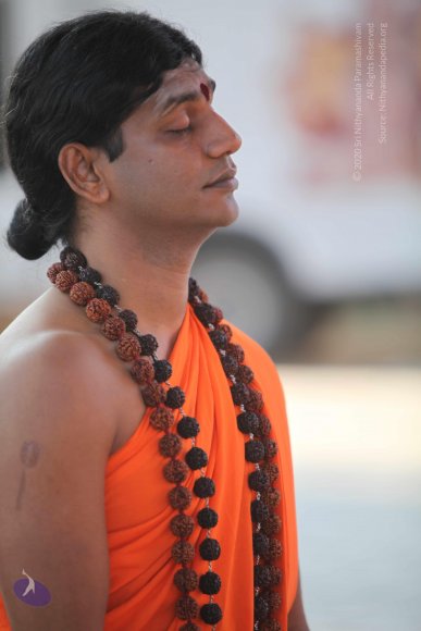 20110203_Photo_1088_IMG_4076_CMP_WM