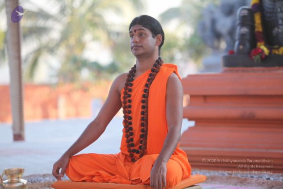 20110203_Photo_1096_IMG_4050_CMP_WM