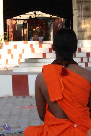 20110203_Photo_1098_IMG_4032_CMP_WM