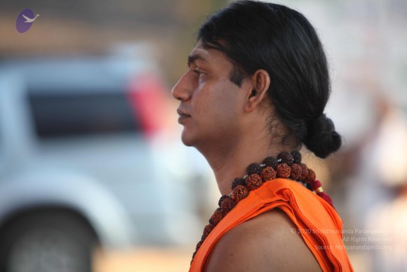 20110203_Photo_1109_IMG_4038_CMP_WM