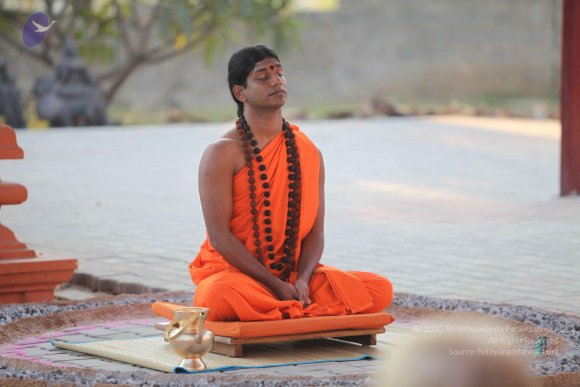 20110203_Photo_1120_IMG_4102_CMP_WM