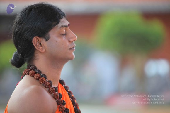 20110203_Photo_1122_IMG_4016_CMP_WM