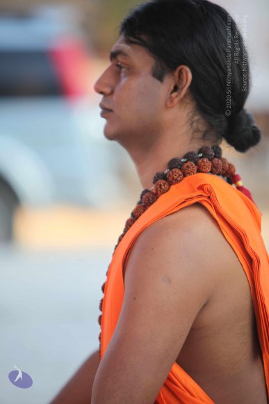 20110203_Photo_1123_IMG_4043_CMP_WM