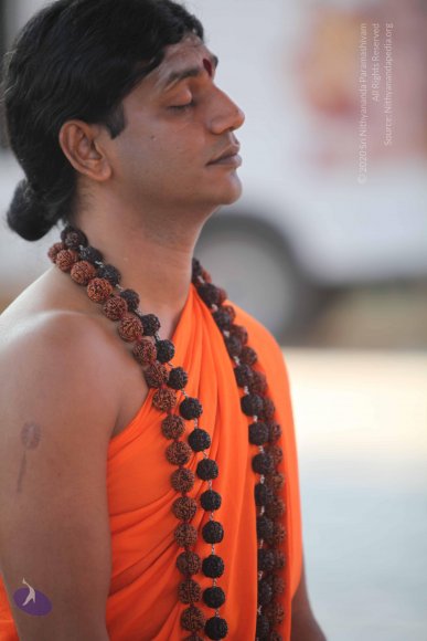 20110203_Photo_1131_IMG_4079_CMP_WM