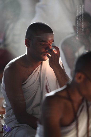 20110203_Photo_1010_IMG_4229a_CMP_WM