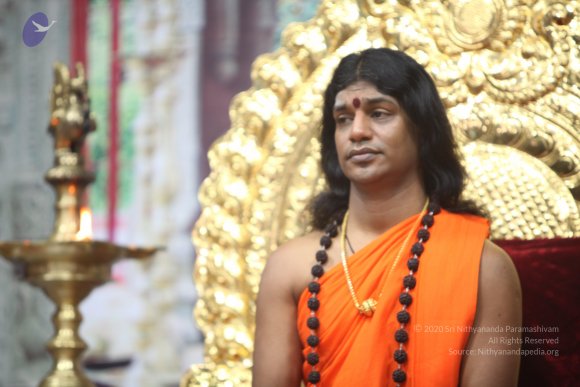 20110203_Photo_1016_IMG_4224_CMP_WM