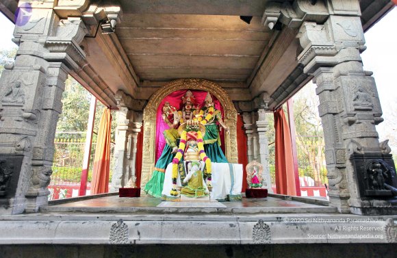 20110208_Photo_1001_IMG_5834_CMP_WM