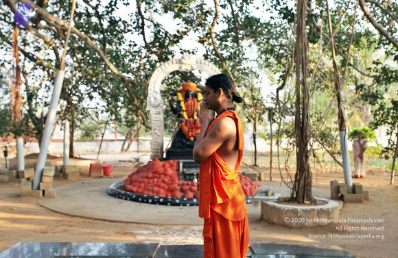 20110208_Photo_1002_IMG_5828_CMP_WM