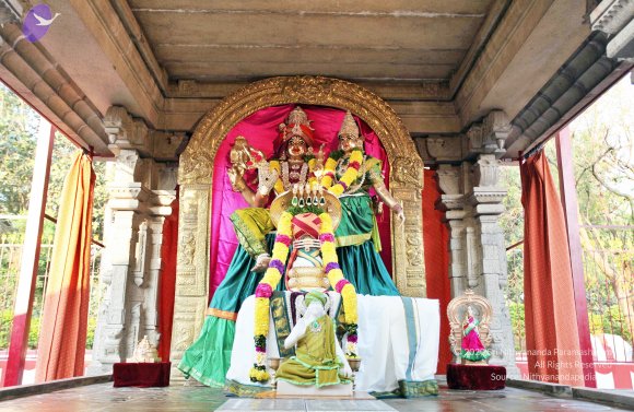 20110208_Photo_1003_IMG_5831_CMP_WM