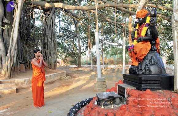 20110208_Photo_1015_IMG_5821_CMP_WM