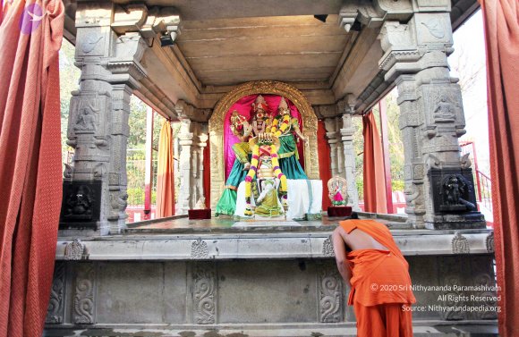 20110208_Photo_1017_IMG_5813_CMP_WM