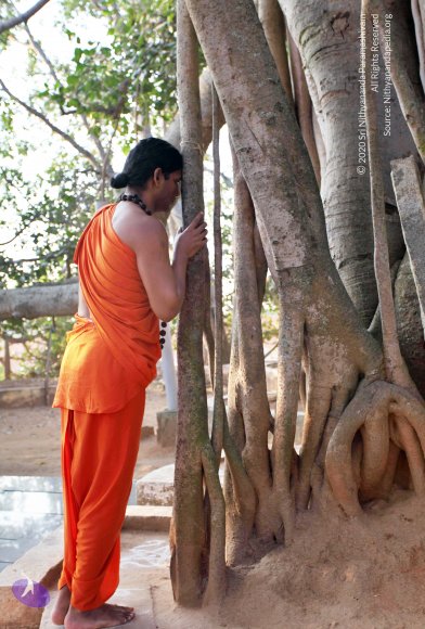 20110208_Photo_1018_IMG_5824_CMP_WM