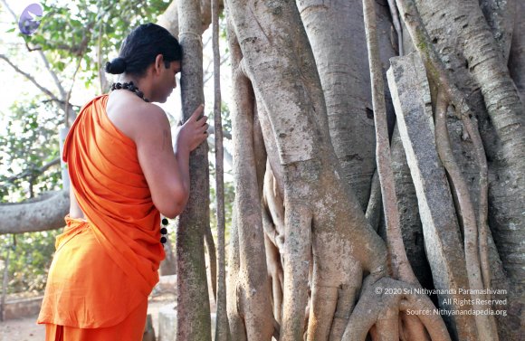 20110208_Photo_1024_IMG_5823_CMP_WM