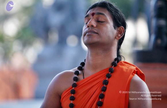 20110208_Photo_1019_IMG_5863_CMP_WM