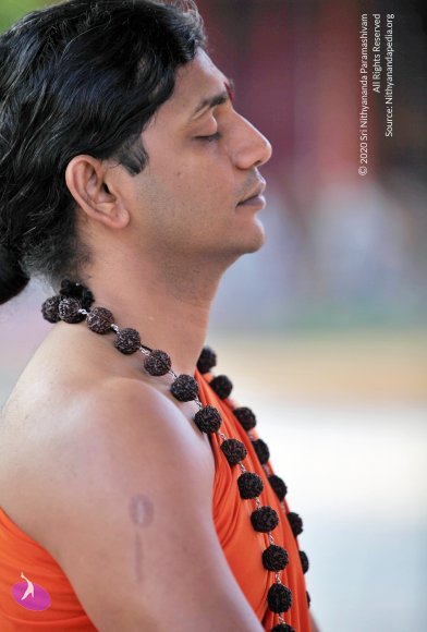 20110208_Photo_1029_IMG_5838_CMP_WM