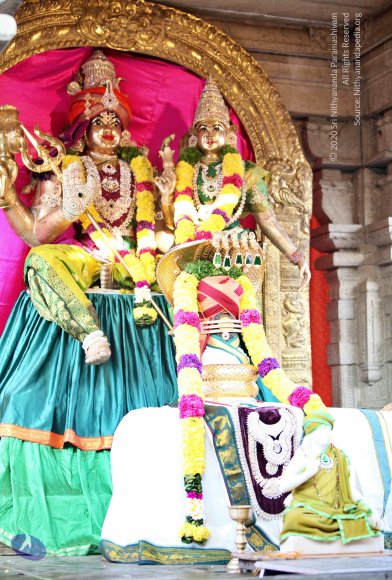 20110208_Photo_1032_IMG_5878_CMP_WM (1)