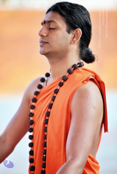 20110208_Photo_1037_IMG_5850_CMP_WM