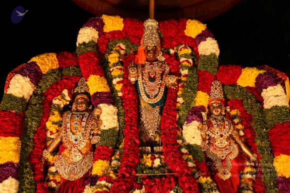 20110210_Photo_1014_IMG_7018_CMP_WM