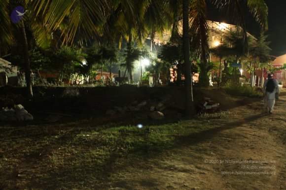 20110210_Photo_1049_IMG_7139_CMP_WM