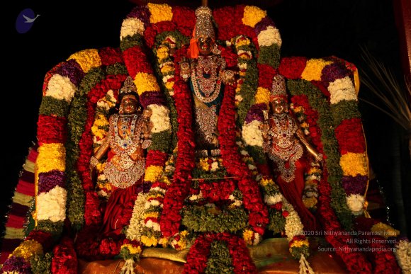 20110210_Photo_1056_IMG_7020_CMP_WM