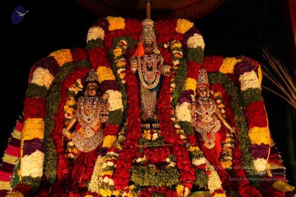 20110210_Photo_1059_IMG_7019_CMP_WM