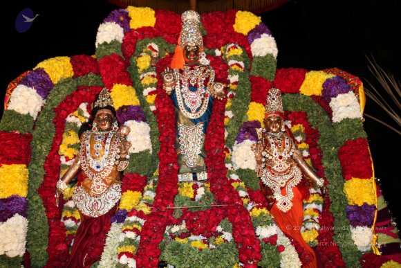 20110210_Photo_1068_IMG_7023_CMP_WM