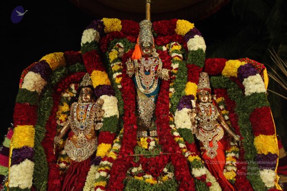 20110210_Photo_1069_IMG_7014_CMP_WM