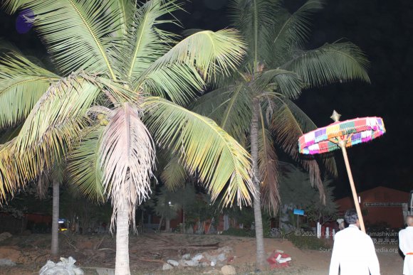 20110210_Photo_1070_IMG_7137_CMP_WM