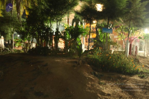 20110210_Photo_1100_IMG_7157_CMP_WM