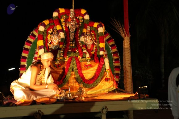 20110210_Photo_1105_IMG_7038_CMP_WM